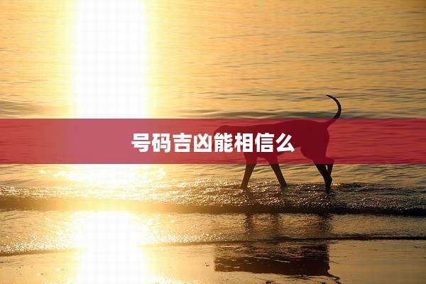 号码吉凶能相信么
