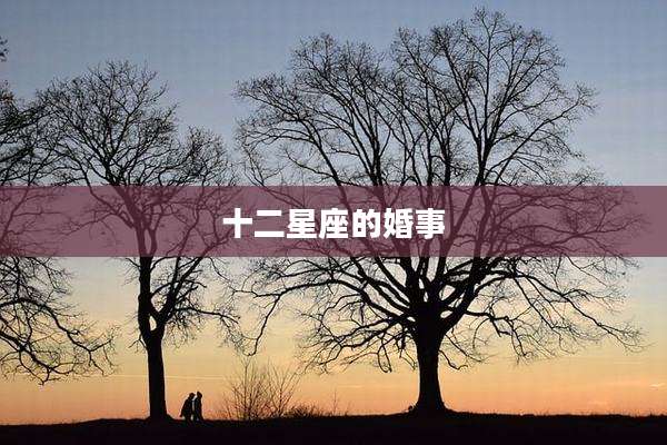 十二星座的婚事