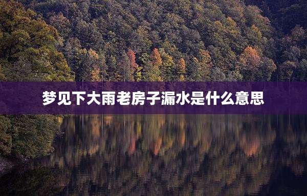 梦见下大雨老房子漏水是什么意思