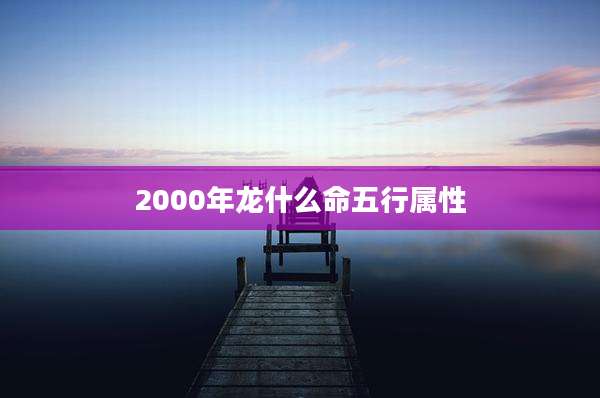 2000年龙什么命五行属性