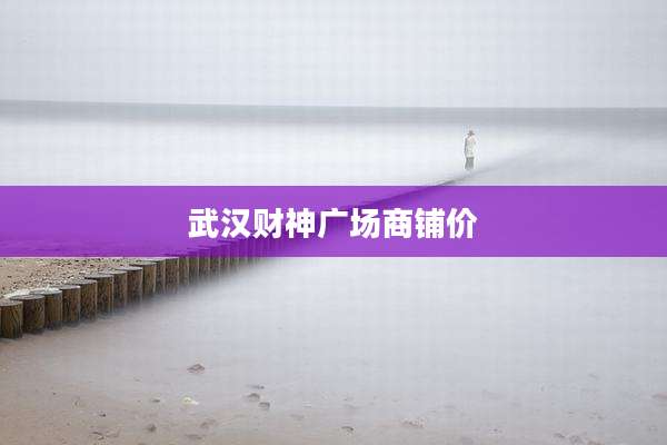 武汉财神广场商铺价