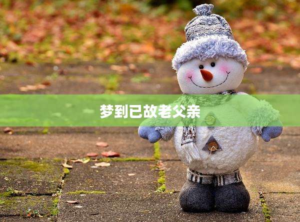 梦到已故老父亲