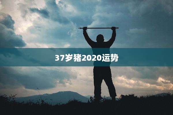 37岁猪2020运势