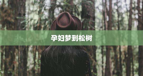 孕妇梦到松树