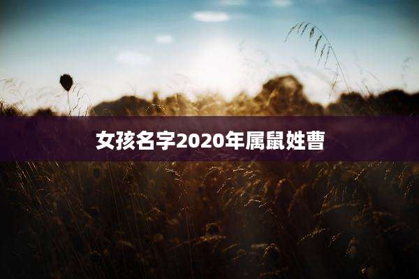 女孩名字2020年属鼠姓曹