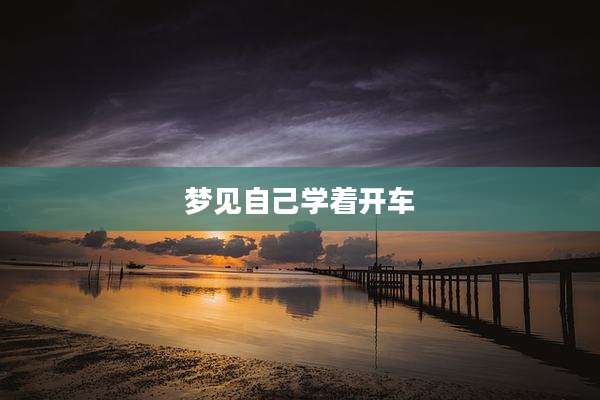 梦见自己学着开车