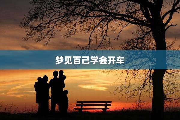 梦见百己学会开车