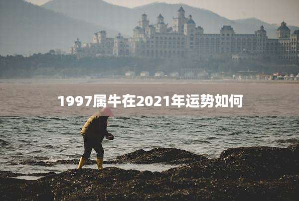1997属牛在2021年运势如何