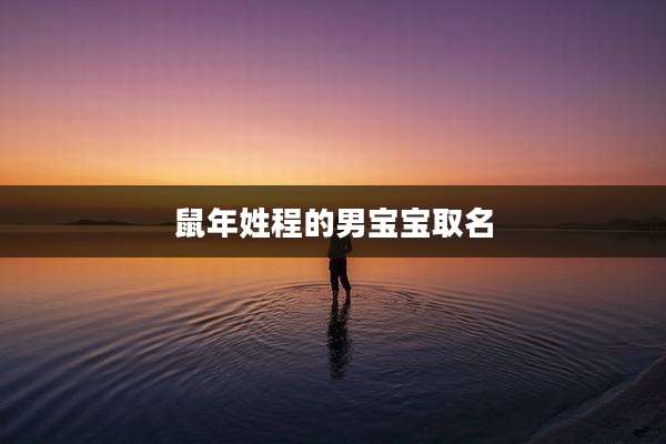 鼠年姓程的男宝宝取名