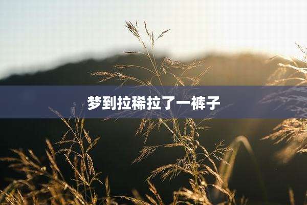 梦到拉稀拉了一裤子