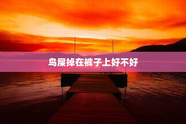 鸟屎掉在裤子上好不好
