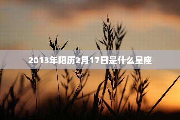 2013年阳历2月17日是什么星座