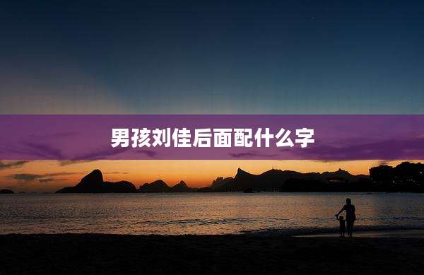 男孩刘佳后面配什么字