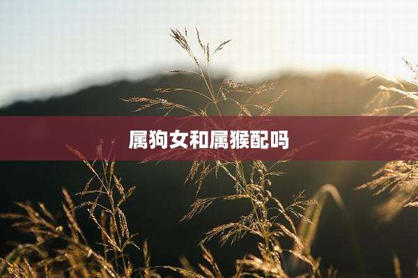 属狗女和属猴配吗