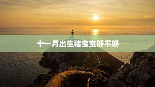 十一月出生猪宝宝好不好