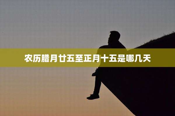 农历腊月廿五至正月十五是哪几天