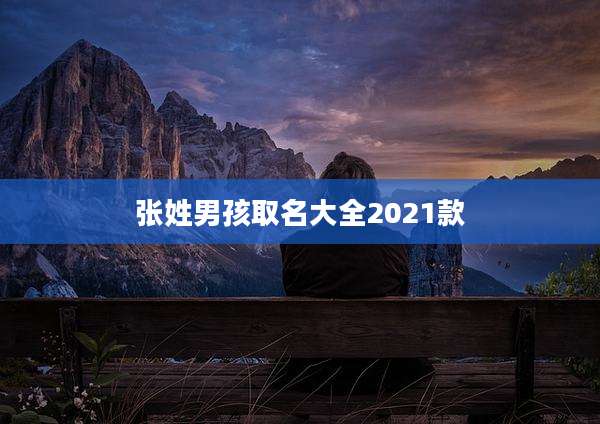 张姓男孩取名大全2021款