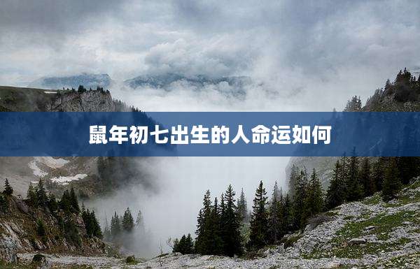 鼠年初七出生的人命运如何