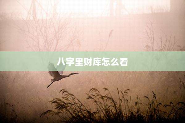 八字里财库怎么看
