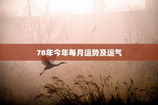 78年今年每月运势及运气