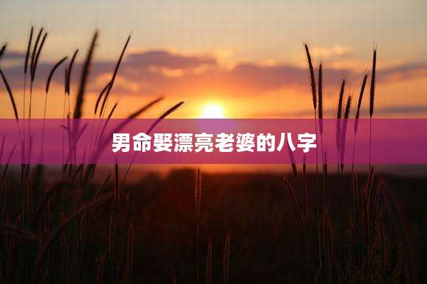 男命娶漂亮老婆的八字