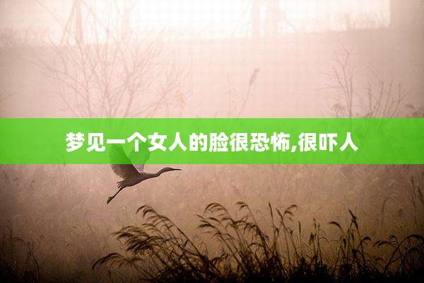 梦见一个女人的脸很恐怖,很吓人