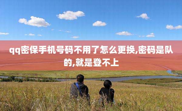 qq密保手机号码不用了怎么更换,密码是队的,就是登不上