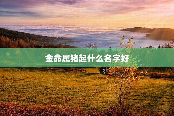 金命属猪起什么名字好