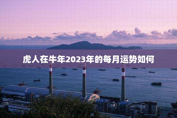 虎人在牛年2023年的每月运势如何