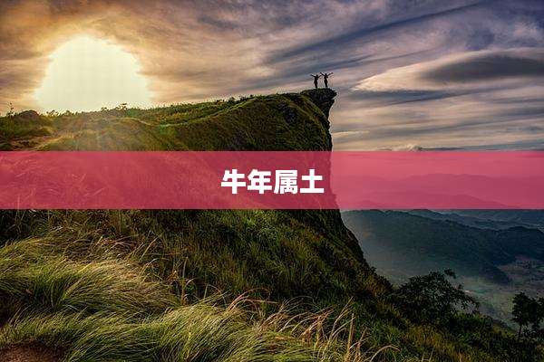 牛年属土