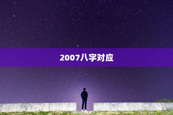 2007八字对应