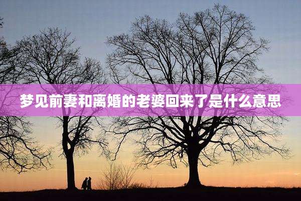 梦见前妻和离婚的老婆回来了是什么意思