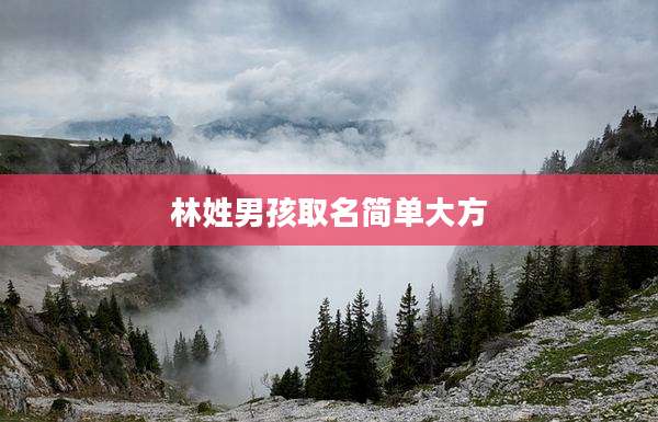 林姓男孩取名简单大方