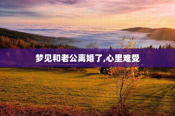 梦见和老公离婚了,心里难受