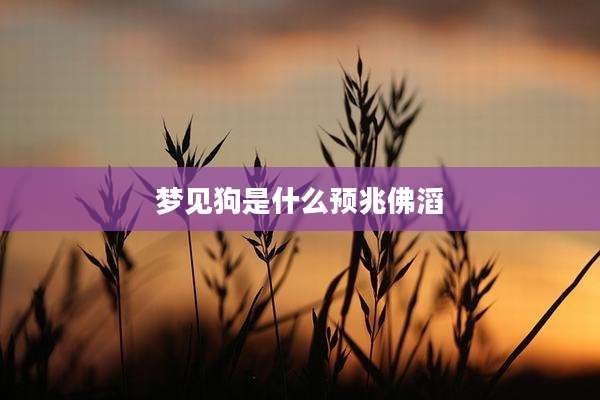 梦见狗是什么预兆佛滔