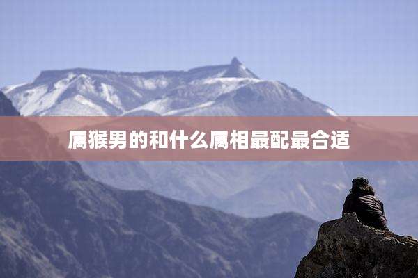 属猴男的和什么属相最配最合适