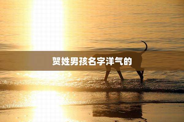 贺姓男孩名字洋气的