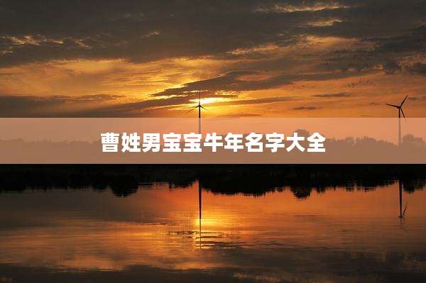 曹姓男宝宝牛年名字大全