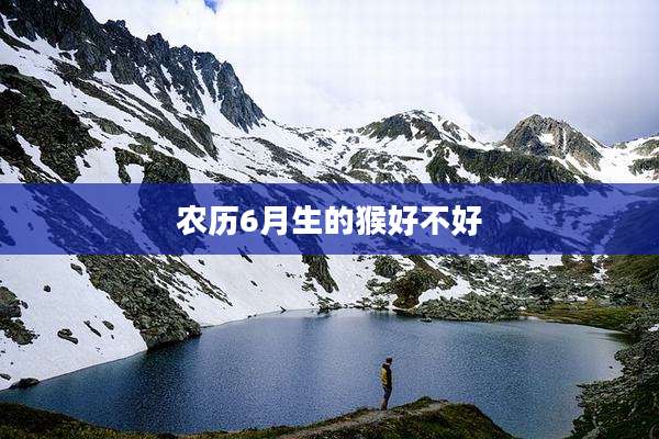 农历6月生的猴好不好