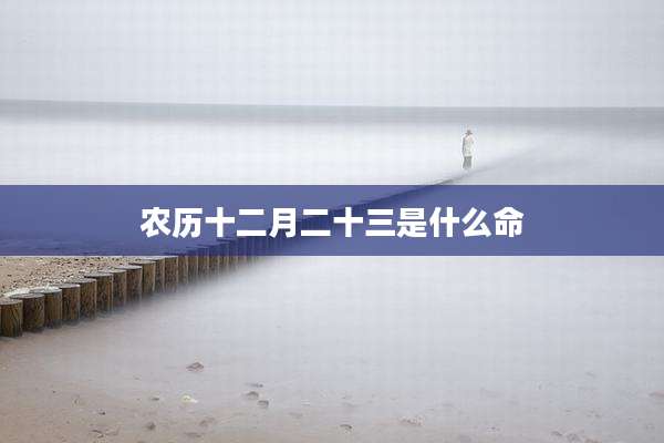 农历十二月二十三是什么命