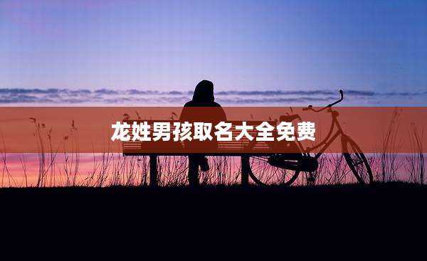 龙姓男孩取名大全免费