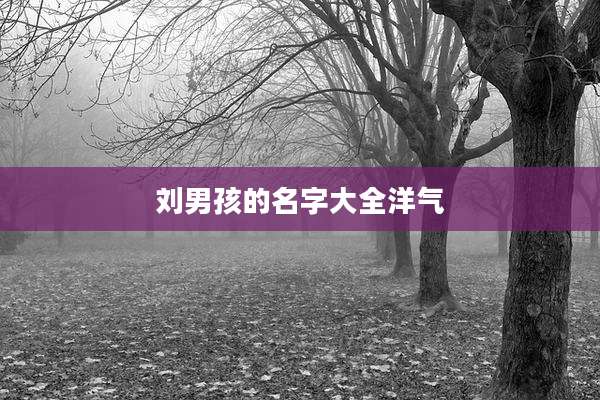 刘男孩的名字大全洋气