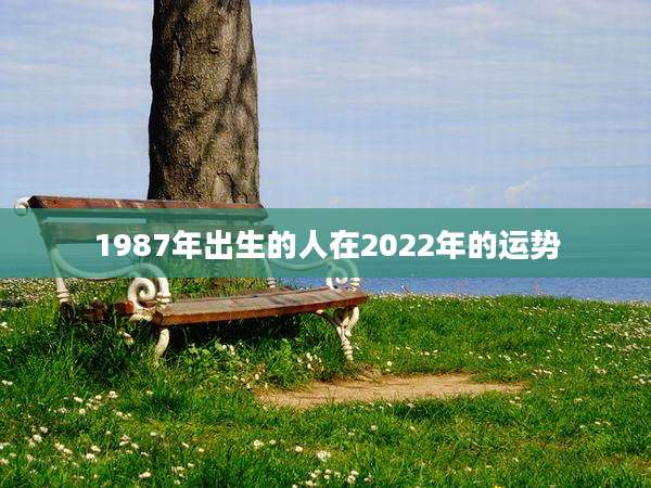 1987年出生的人在2022年的运势