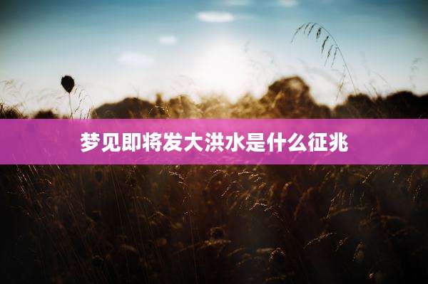 梦见即将发大洪水是什么征兆