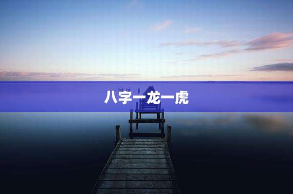 八字一龙一虎