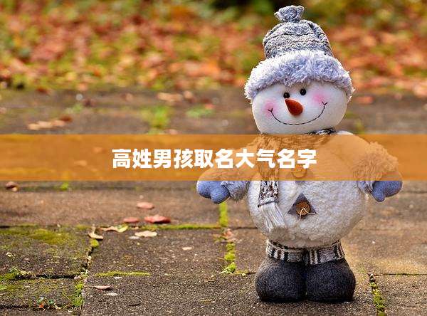 高姓男孩取名大气名字