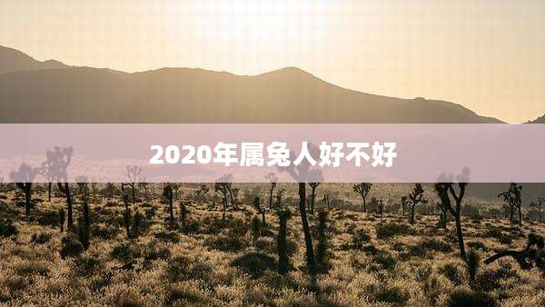 2020年属兔人好不好