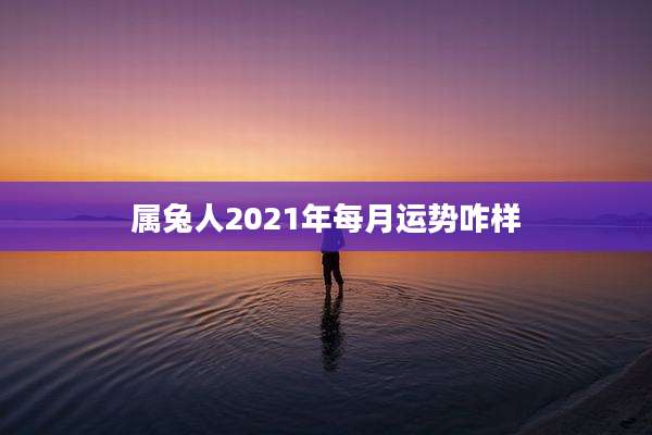 属兔人2021年每月运势咋样