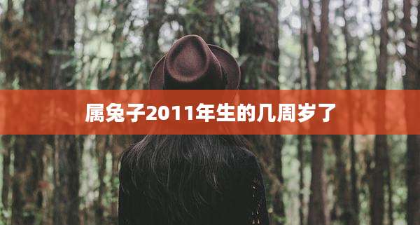 属兔子2011年生的几周岁了
