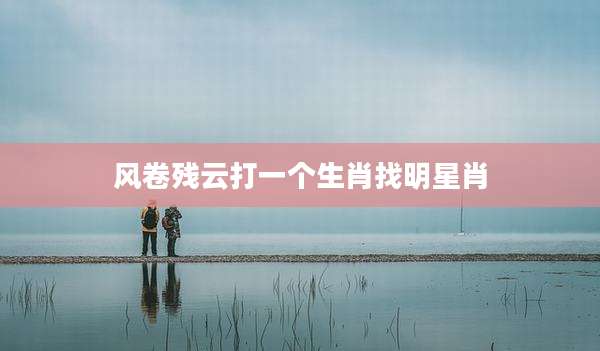 风卷残云打一个生肖找明星肖